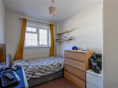 Picture 15